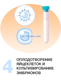 Эко в естественном цикле